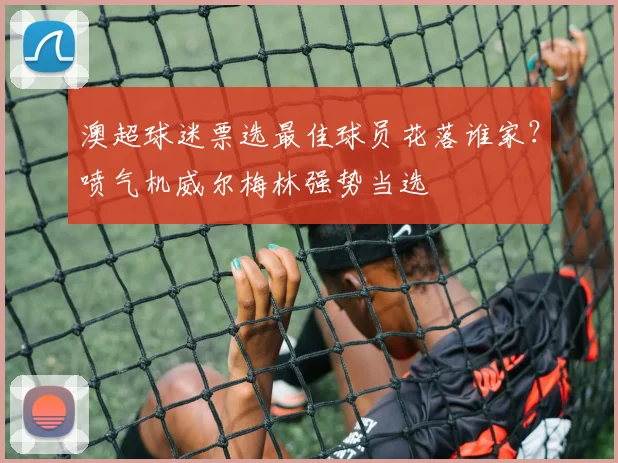 澳超球迷票选最佳球员花落谁家?喷气机威尔梅林强势当选