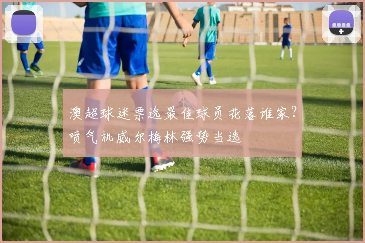 澳超球迷票选最佳球员花落谁家？喷气机威尔梅林强势当选